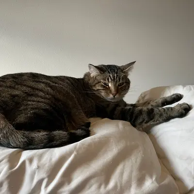 Xena